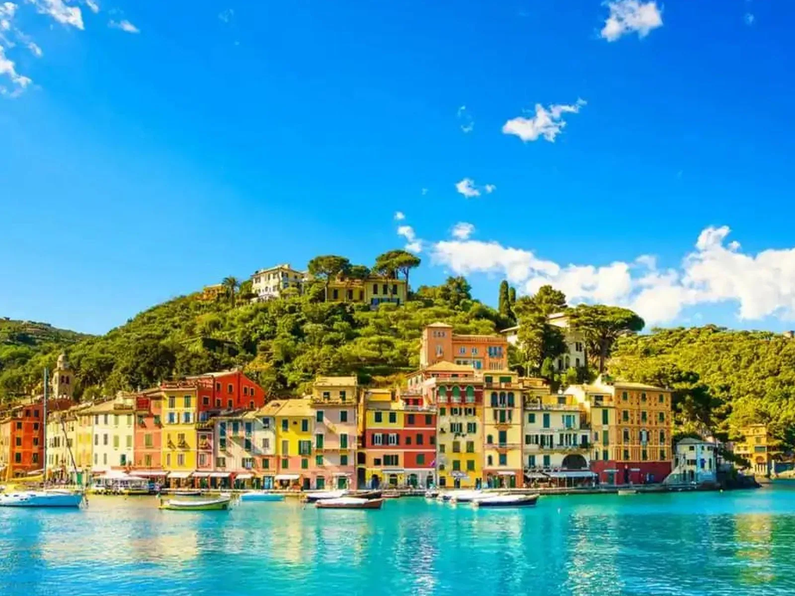 Boat tour Cinque Terre and Portofino – photo 8